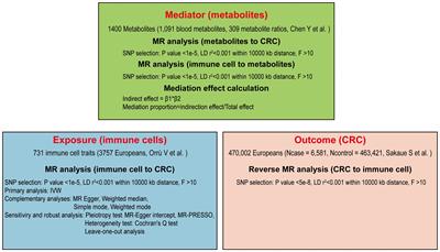 Causal effects and metabolites mediators between immune cell and risk of colorectal cancer: a Mendelian randomization study